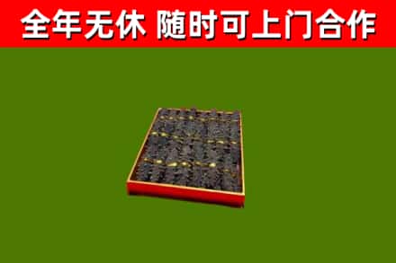 惠阳回收海参